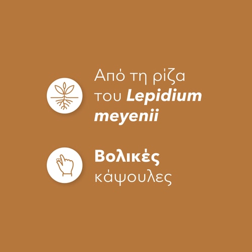 Maca Root 750mg 90 caps (4)