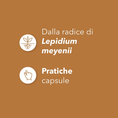 Maca Root 750mg 90 caps (4)