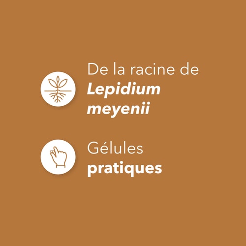 Maca Root 750mg 90 caps (4)