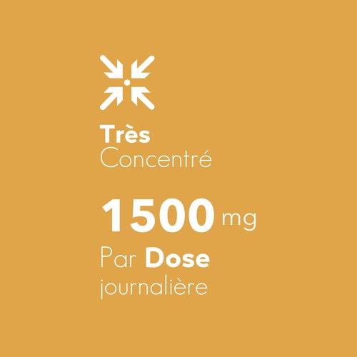 Cordyceps Sinensis 60 caps (6)