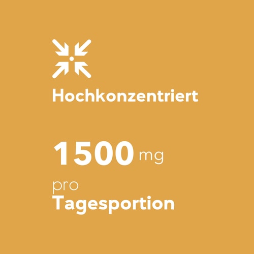 Cordyceps Sinensis 60 caps (6)