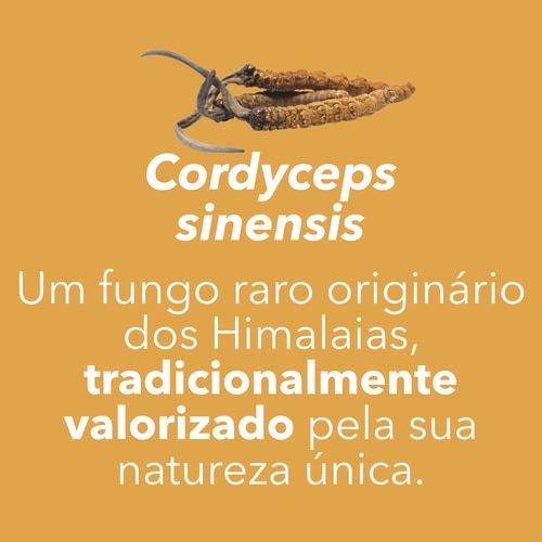 Cordyceps Sinensis 180 caps (7)