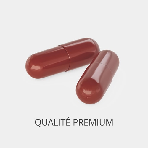 Lutéine 20 mg 60 gélules (2)