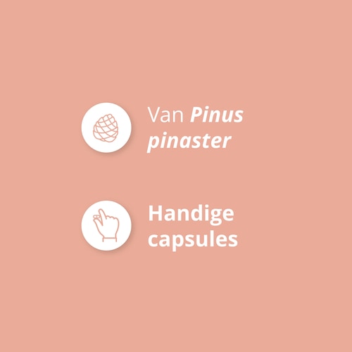Pijnboomschorsextract 60 capsules (4)