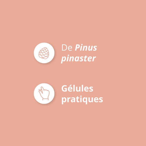 Extrait d'Écorce de Pin 60 gélules (4)