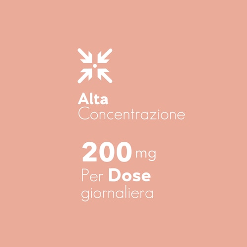Estratto di Corteccia di Pino 60 capsule (6)
