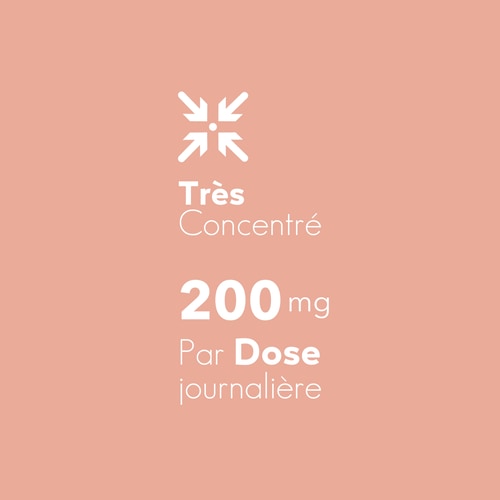 Extrait d'Écorce de Pin 60 gélules (6)
