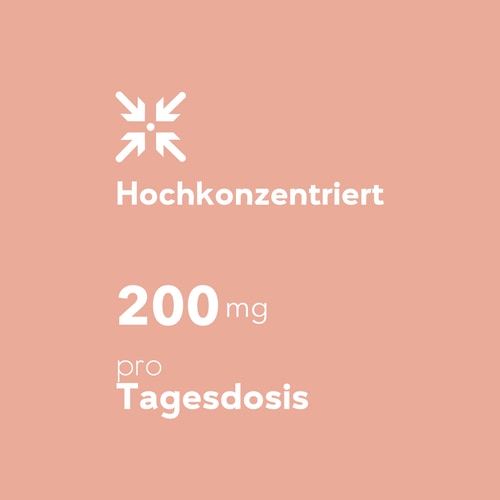 Kiefernrindenextrakt 60 Kapseln (6)