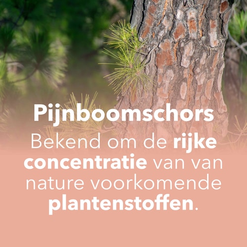 Pijnboomschorsextract 60 capsules (7)