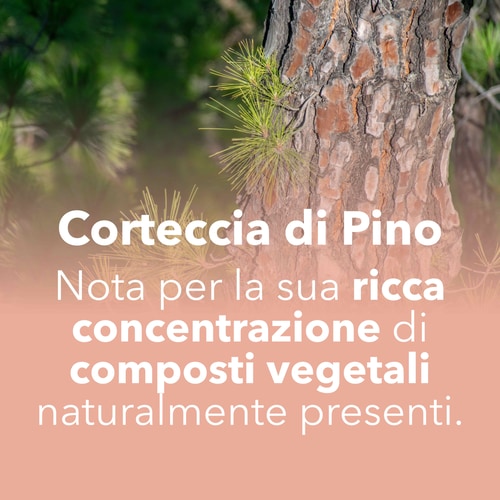 Estratto di Corteccia di Pino 60 capsule (7)