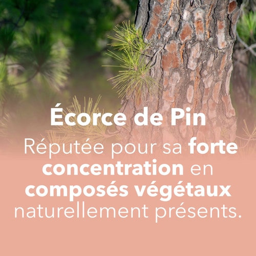Extrait d'Écorce de Pin 60 gélules (7)