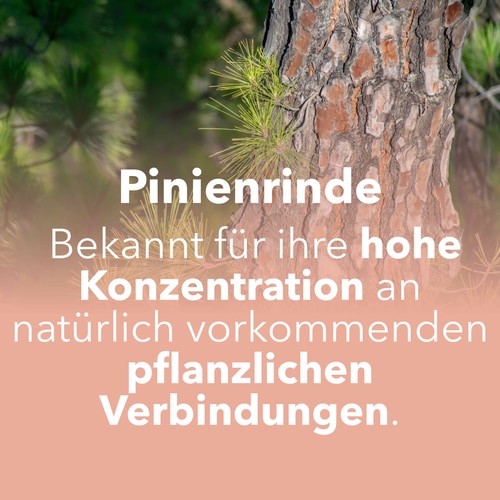 Kiefernrindenextrakt 60 Kapseln (7)