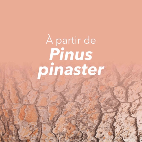 Extrait d'Écorce de Pin 60 gélules (8)
