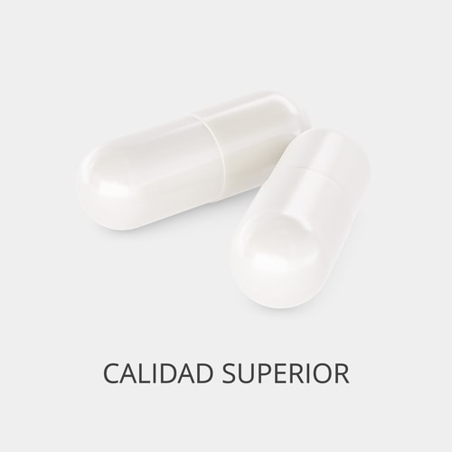 Ácido Fólico - Vitamina B9 500 mcg 60 cápsulas veganas (2)