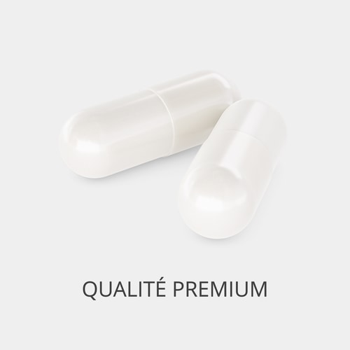 Acide Folique - Vitamine B9 500 mcg 120 gélules végétaliennes (2)