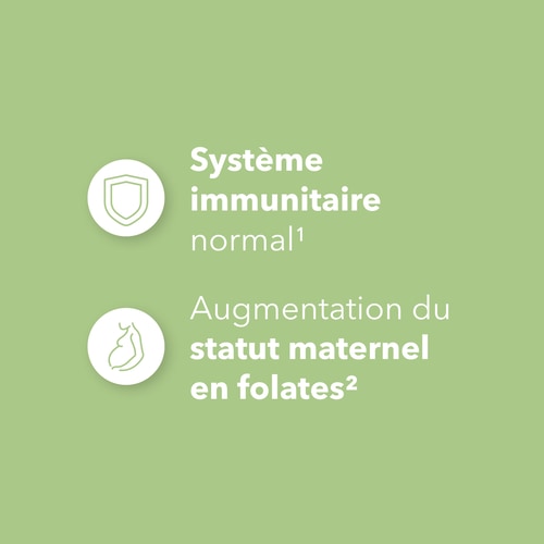 Acide Folique - Vitamine B9 500 mcg 60 gélules vég. (4)