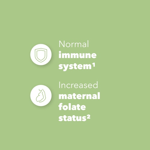 Folic Acid - Vitamin B9 500 mcg 60 veg caps (4)