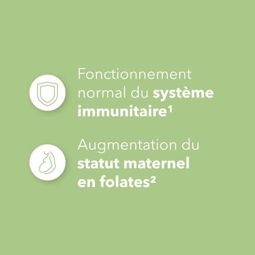 Acide Folique - Vitamine B9 500 mcg 120 gélules végétaliennes (4)