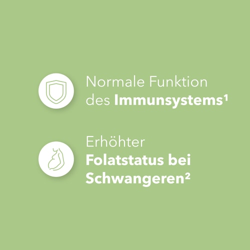 Folsäure – Vitamin B9 500 µg 120 vegane Kapseln (4)