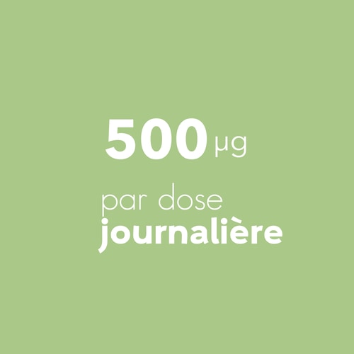 Acide Folique - Vitamine B9 500 mcg 60 gélules vég. (6)