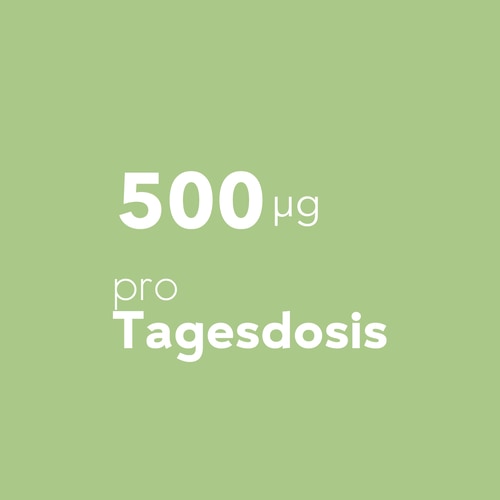 Folsäure - Vitamin B9 500 mcg 60 veg. Kapseln (6)