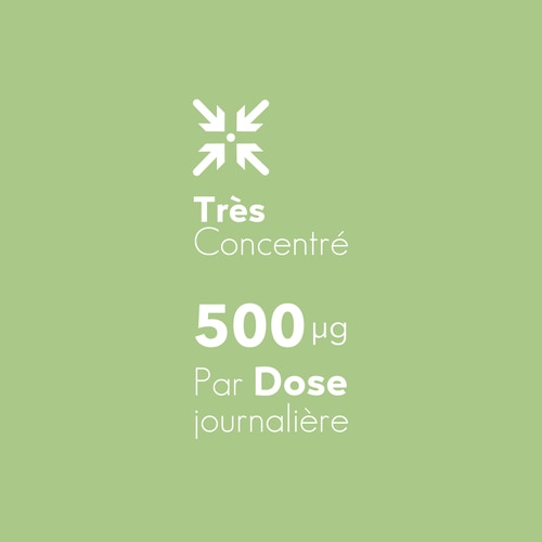 Acide Folique - Vitamine B9 500 mcg 120 gélules végétaliennes (6)