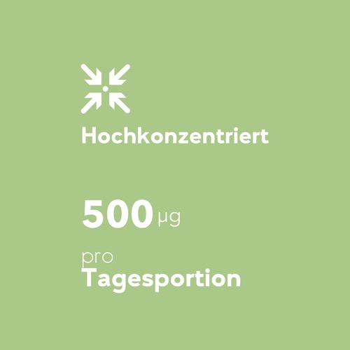 Folsäure – Vitamin B9 500 µg 120 vegane Kapseln (6)