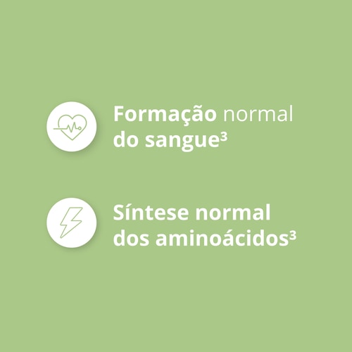 Ácido Fólico - Vitamina B9 500 mcg 60 cápsulas vegan (7)