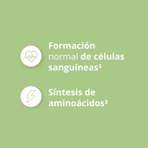 Ácido Fólico - Vitamina B9 500 mcg 60 cápsulas veganas (7)