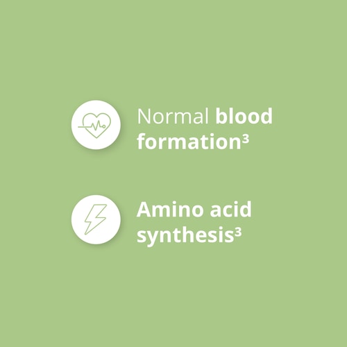 Folic Acid - Vitamin B9 500 mcg 60 veg caps (7)
