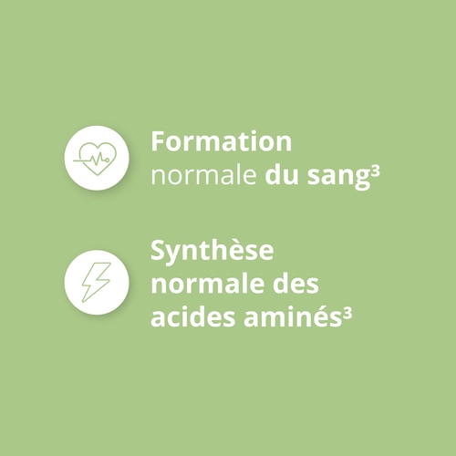 Acide Folique - Vitamine B9 500 mcg 120 gélules végétaliennes (7)