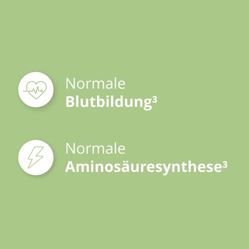 Folsäure – Vitamin B9 500 µg 120 vegane Kapseln (7)