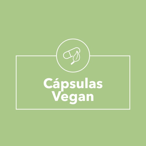 Ácido Fólico - Vitamina B9 500 mcg 60 cápsulas vegan (9)