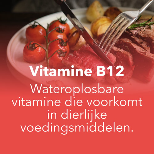 Vitamin B12 100 mcg 180 tabs (7)