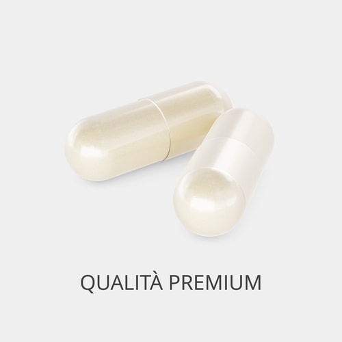 Fenugreek 1000 mg 60 caps (2)