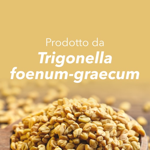 Fenugreek 1000 mg 60 caps (8)