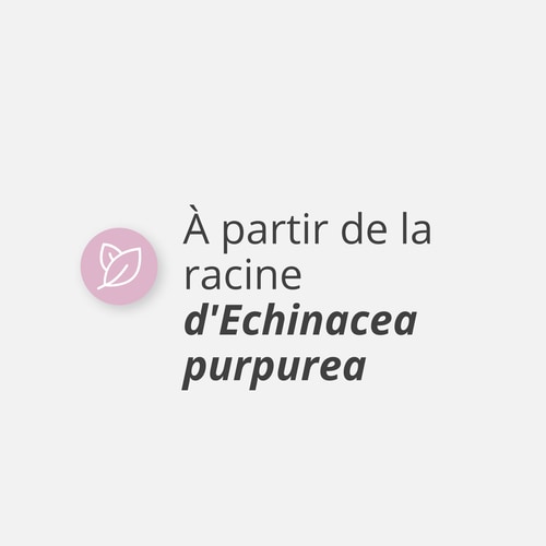 Echinacea 1500 mg 90 caps (4)