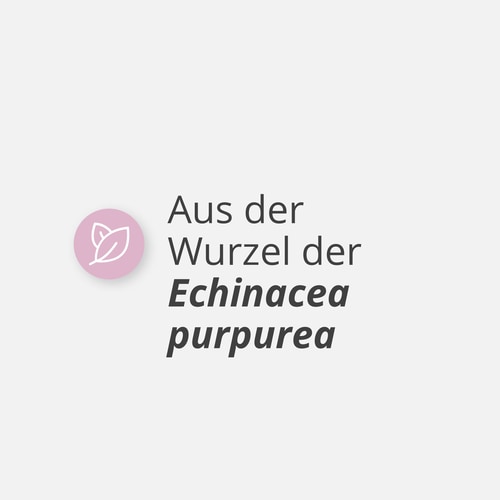 Echinacea 1500 mg 90 caps (4)