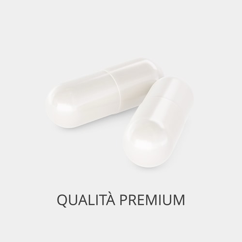 Ossido di Magnesio 400 mg 60 capsule (2)
