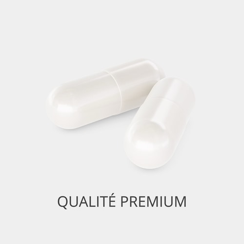 Oxyde de Magnésium 400 mg 60 gélules (2)