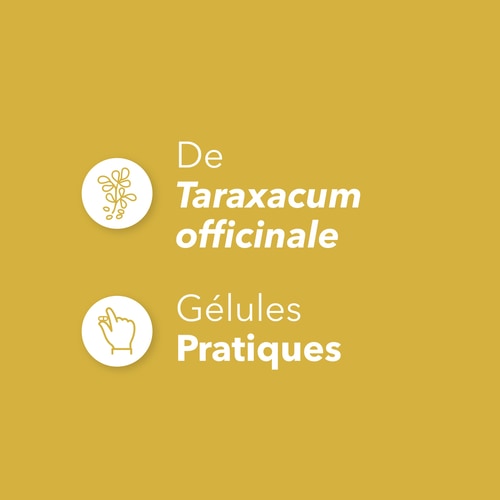 Racine de Pissenlit 1500 mg 90 gélules (4)