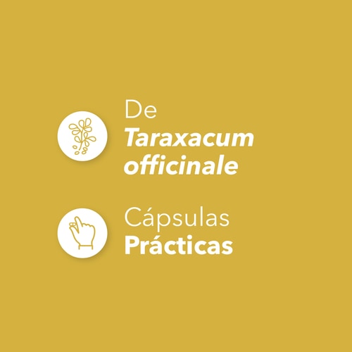 Raíz de Diente de León 1500 mg 90 cápsulas (4)