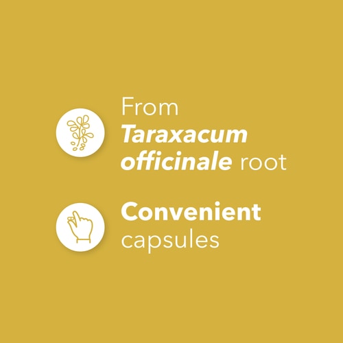 Dandelion Root 1500 mg 180 caps (4)