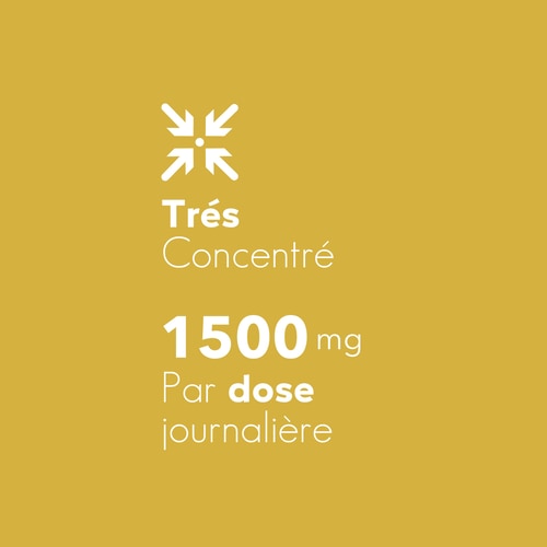 Racine de Pissenlit 1500 mg 90 gélules (6)