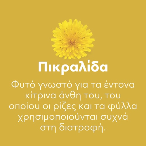 Dandelion Root 1500 mg 90 caps (7)