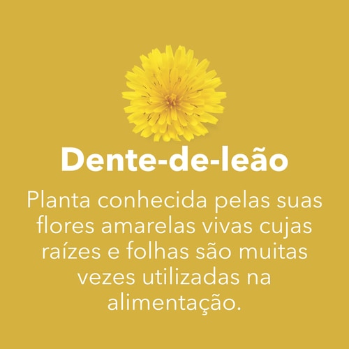 Raiz de Dente-de-Leão 1500 mg 90 cápsulas (7)