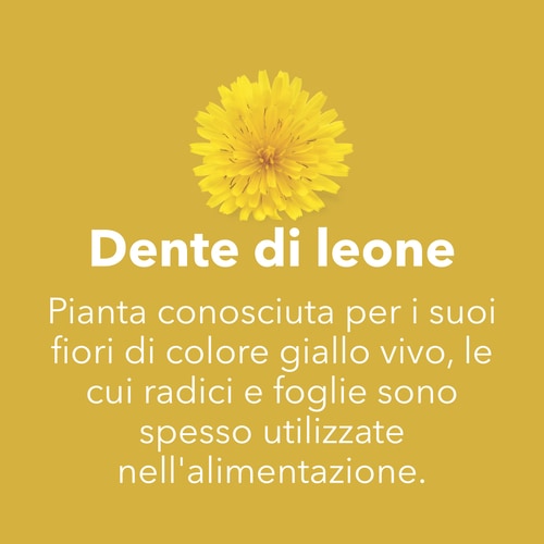 Radice di Dente di Leone 1500 mg 90 capsule (7)