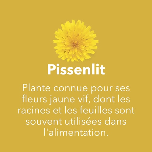 Racine de Pissenlit 1500 mg 90 gélules (7)