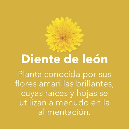 Raíz de Diente de León 1500 mg 90 cápsulas (7)