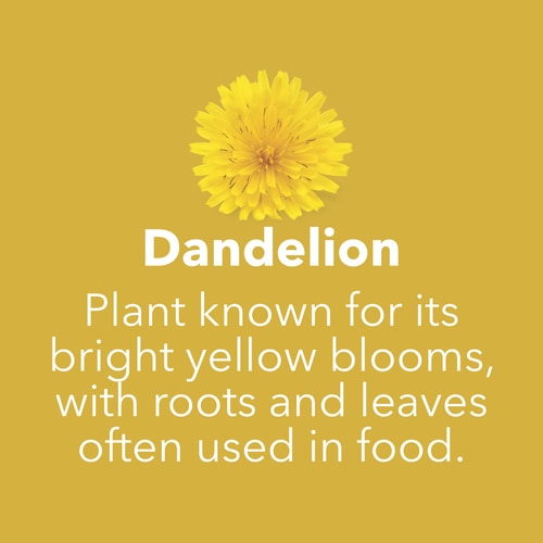 Dandelion Root 1500 mg 180 caps (7)
